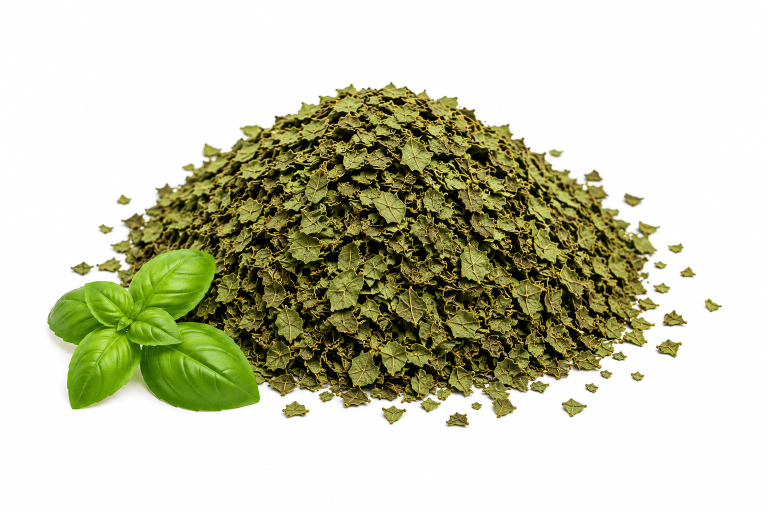 Premium Egyptian Basilic